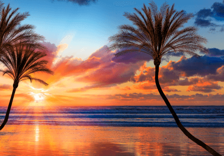 Southern California sunset over the ocean and three palm trees